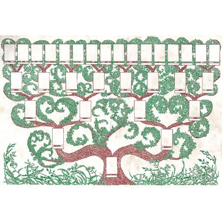 Arbre 5 générations - Blason